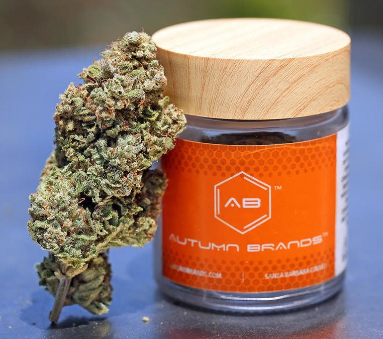 Autumn Brands jar beside a cannabis bud