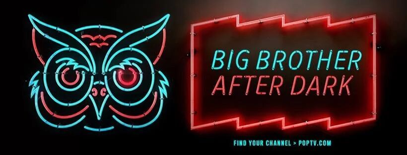 Big Brother After Dark neon owl banner