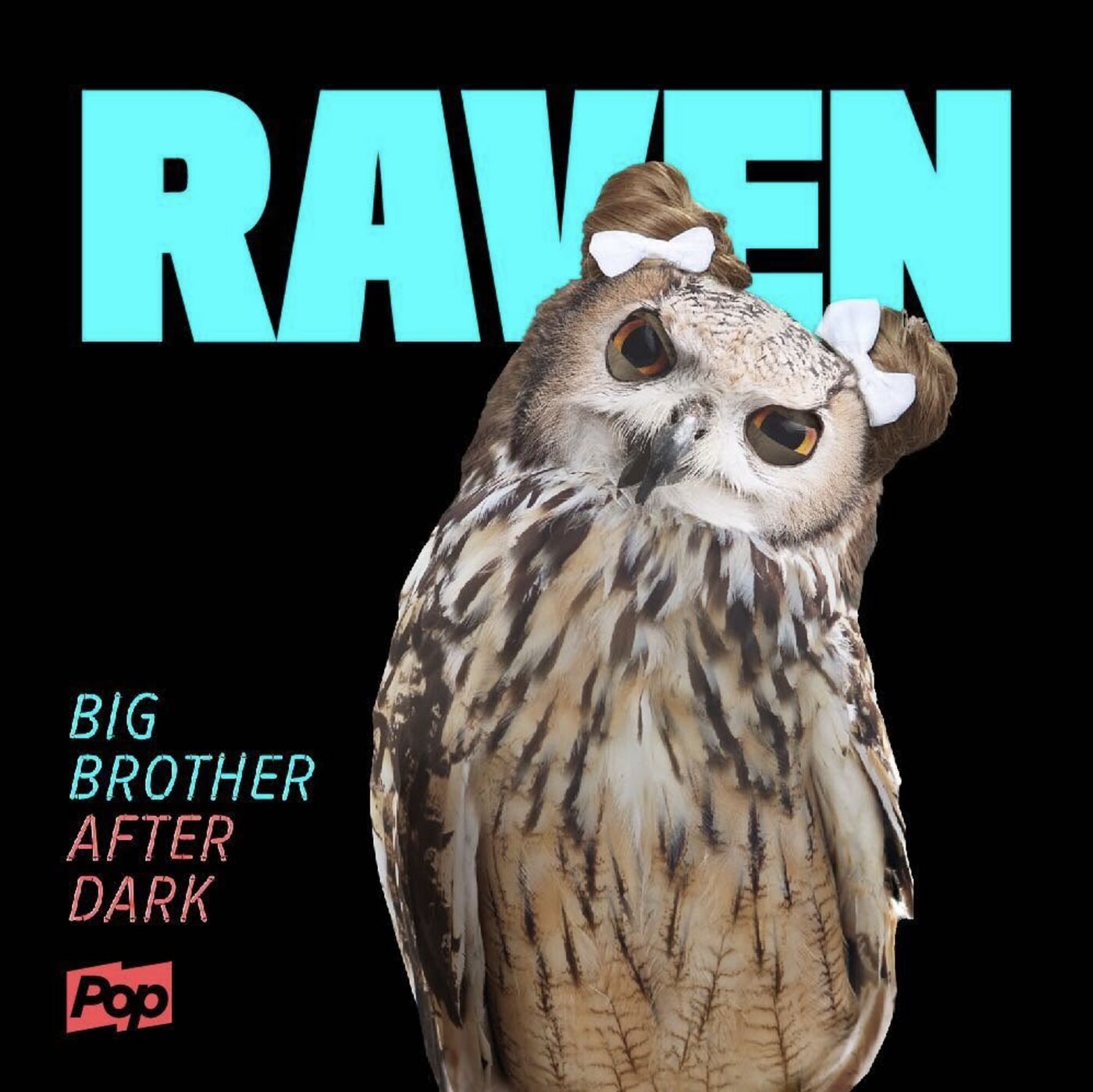 Raven: an owl with a white hair bow, Big Brother After Dark houseguest parody