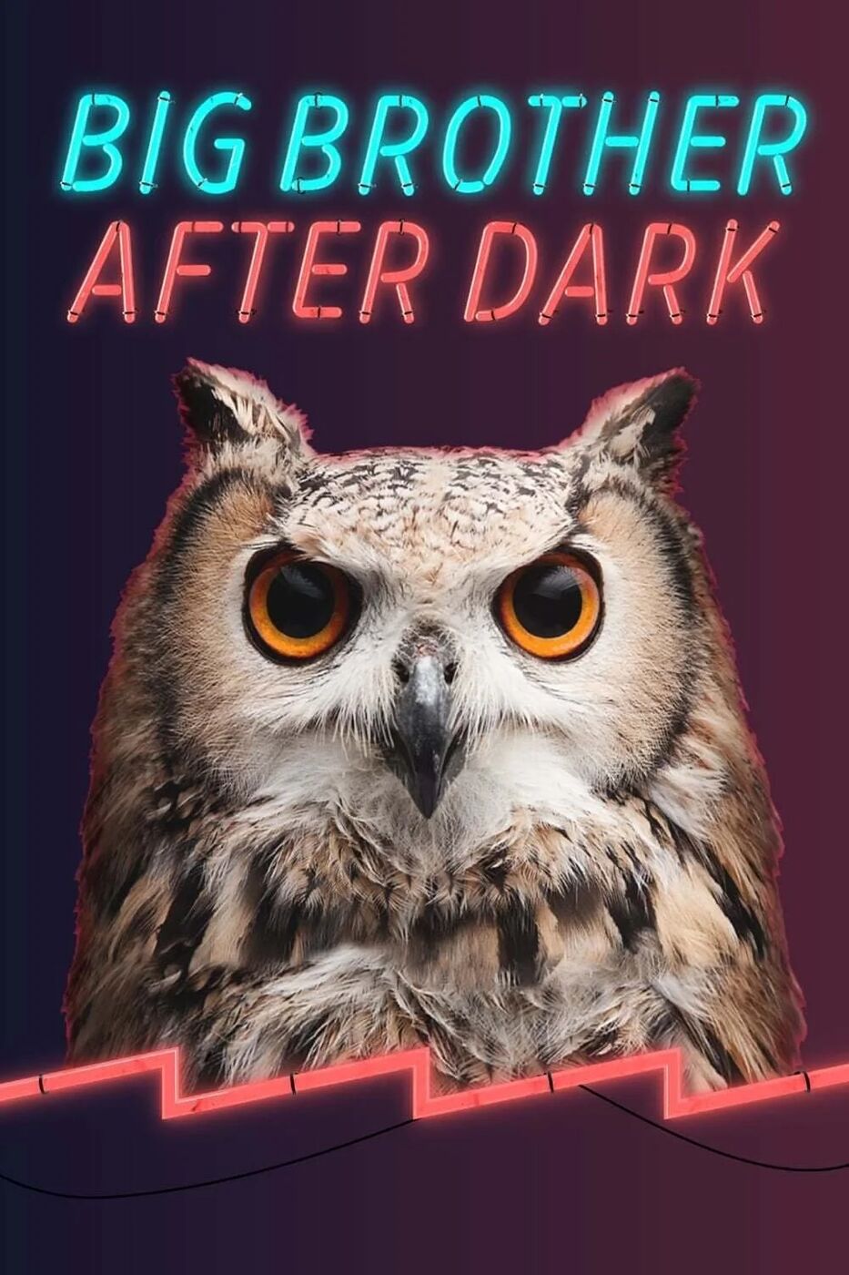 Big Brother After Dark key art: an owl beneath the neon logo