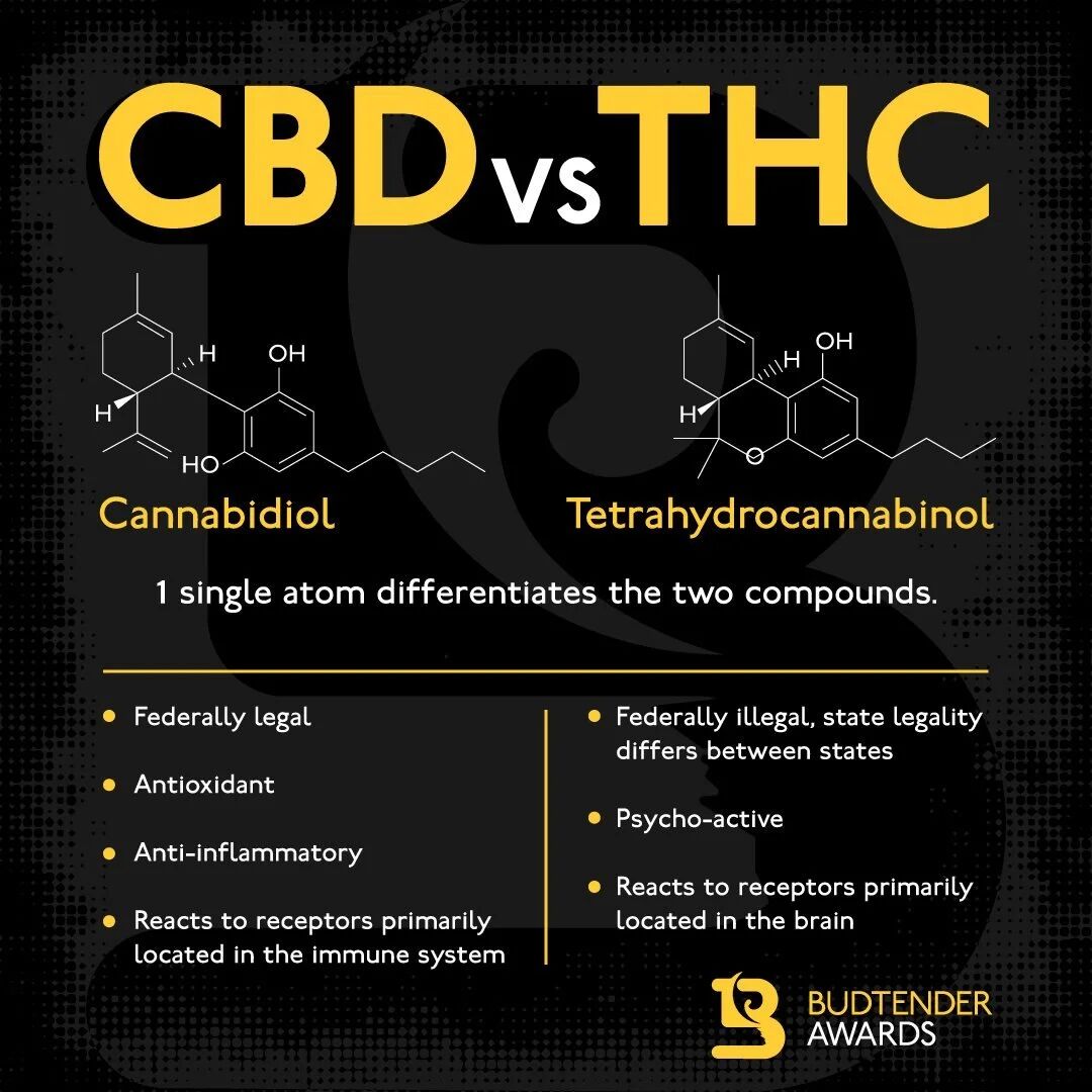 CBD vs THC infographic: one single atom differentiates the two compounds