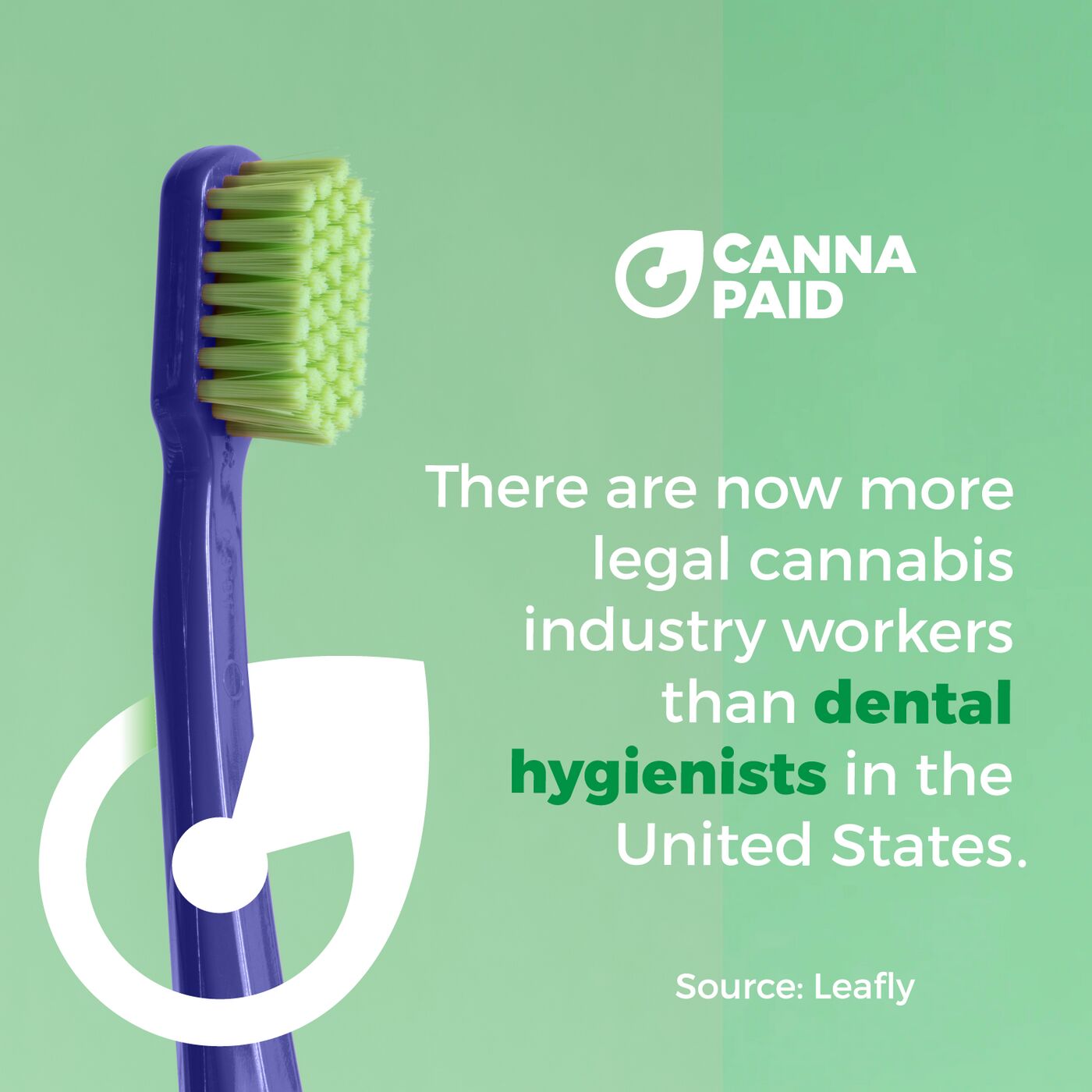 CannaPaid fact: there are now more legal cannabis industry workers than dental hygienists in the United States