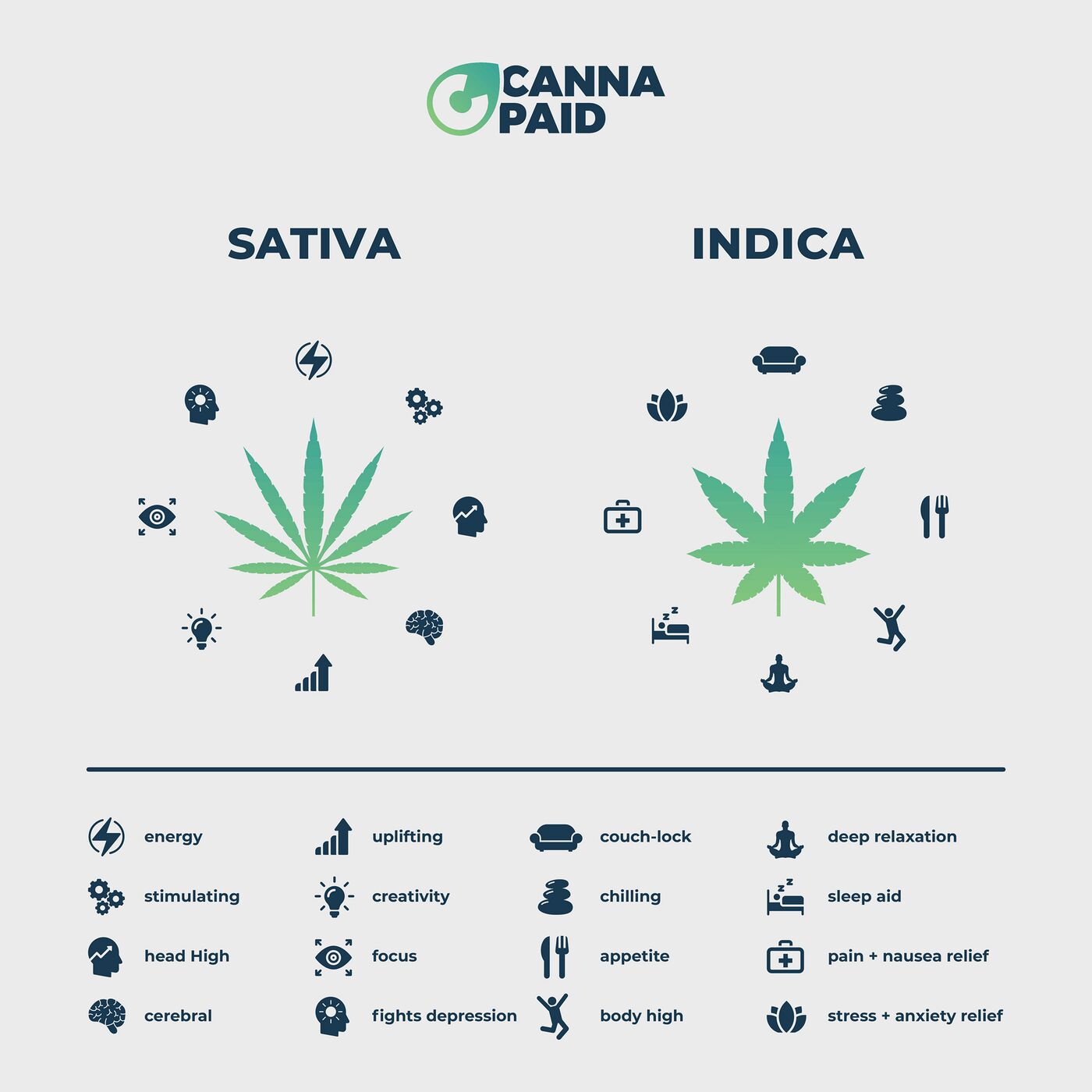 CannaPaid infographic comparing sativa and indica effects