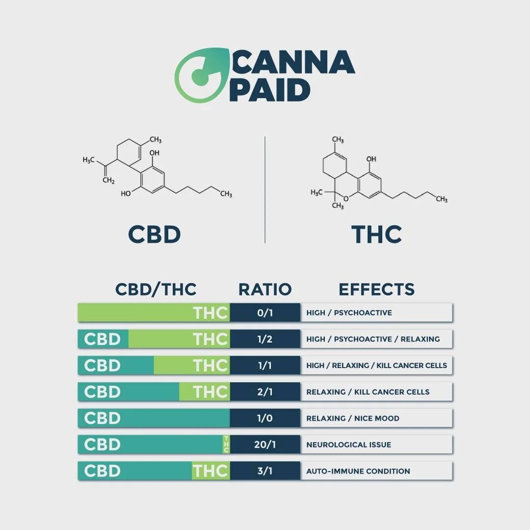 CannaPaid infographic: CBD to THC ratios and their effects