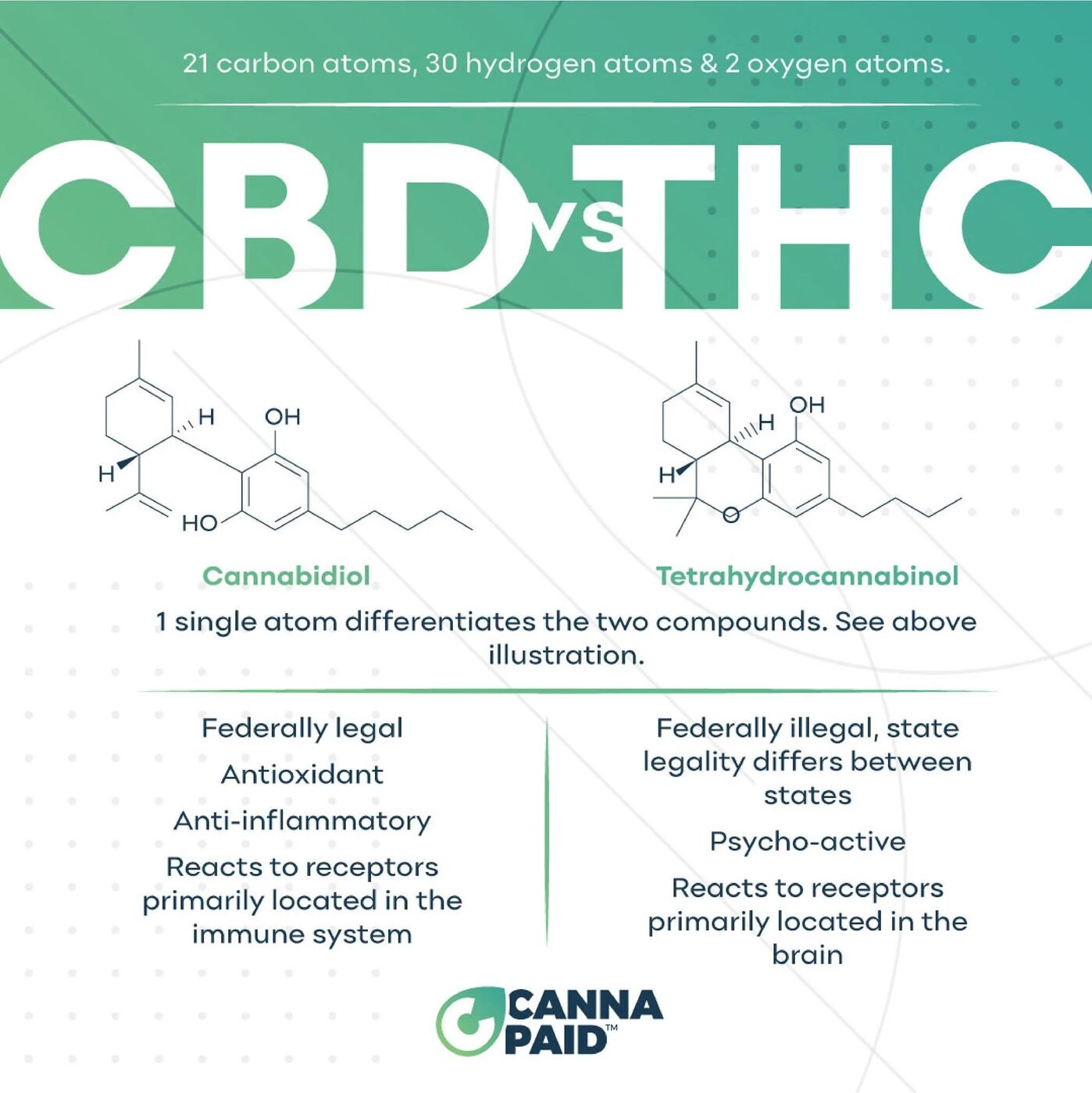 CannaPaid infographic: CBD vs THC molecular structures and differences