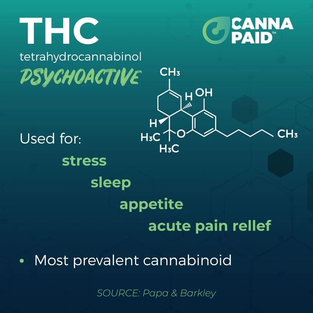 CannaPaid card: THC, psychoactive, used for stress, sleep, appetite and acute pain relief