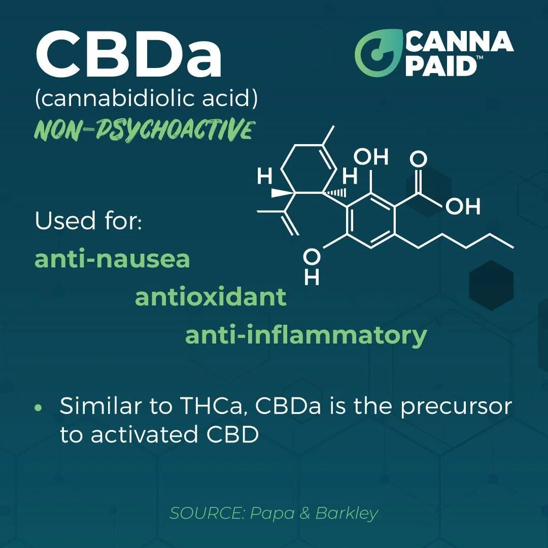 CannaPaid card: CBDa, non-psychoactive, used for anti-nausea, antioxidant and anti-inflammatory