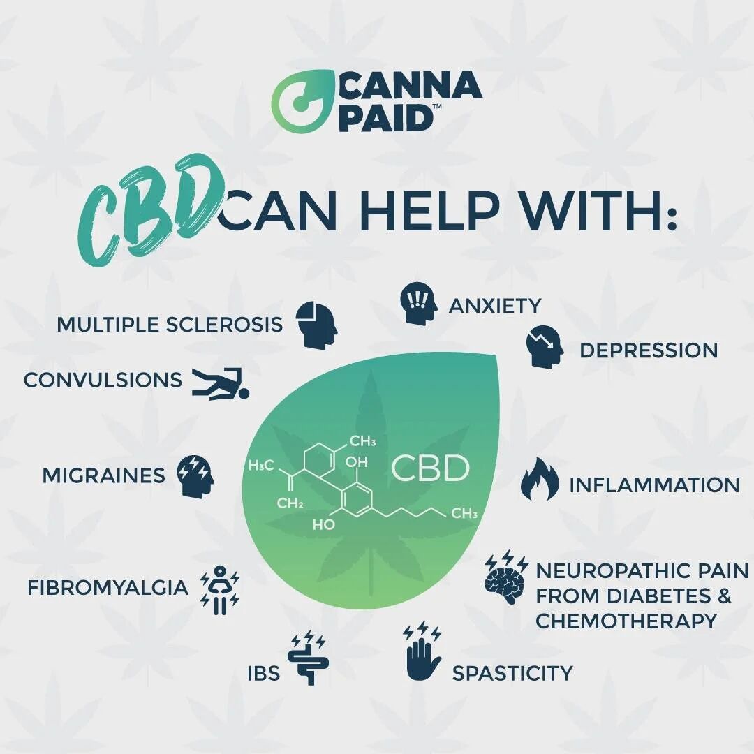 CannaPaid infographic: what CBD can help with, from anxiety to spasticity