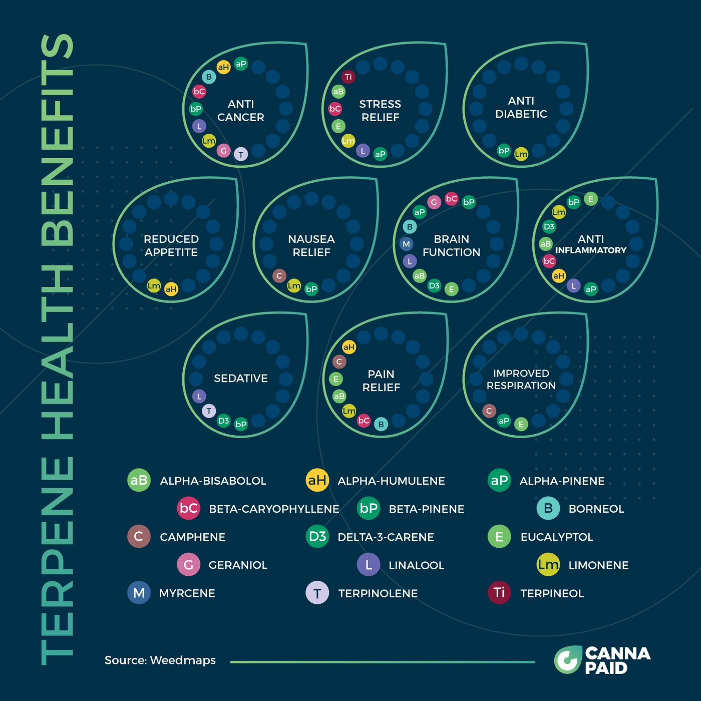 CannaPaid infographic: terpene health benefits