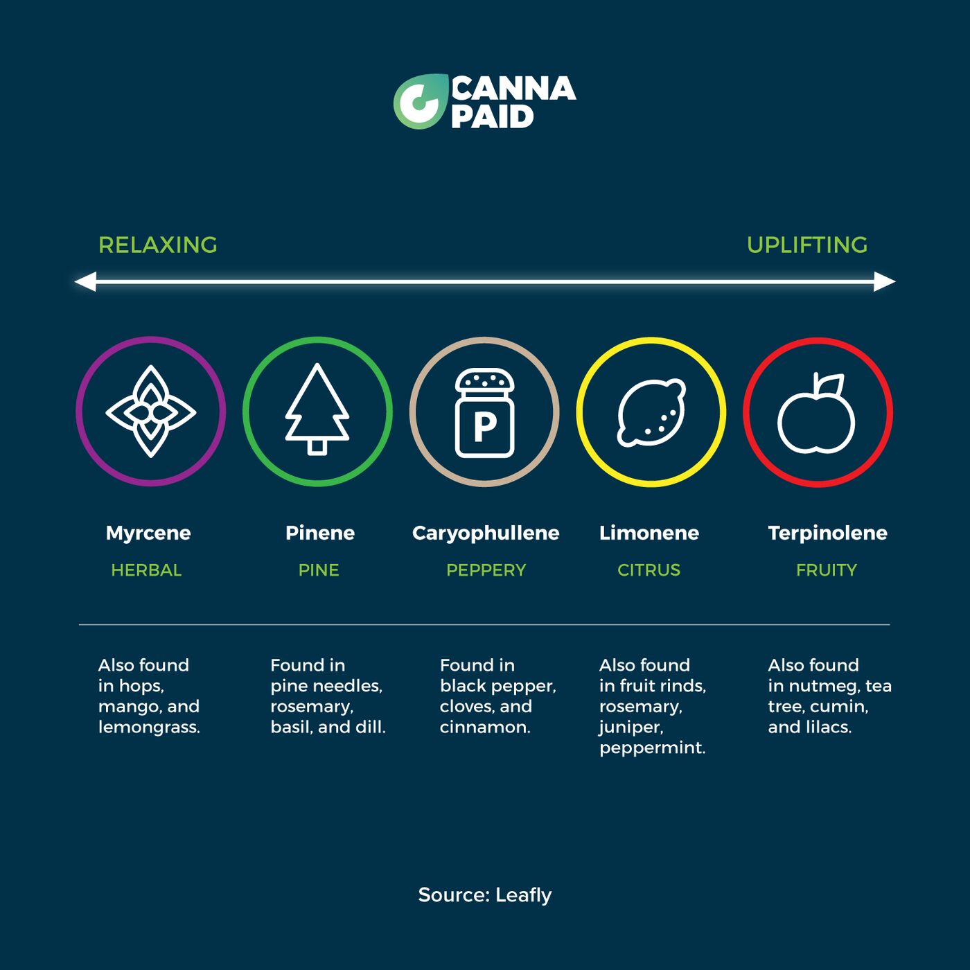 CannaPaid terpene guide from relaxing to uplifting: myrcene, pinene, caryophyllene, limonene, terpinolene