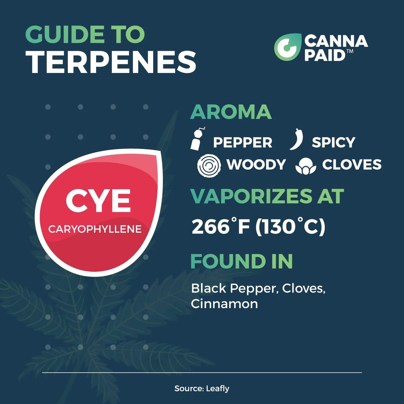 CannaPaid Guide to Terpenes: Caryophyllene, peppery and woody, vaporizes at 266°F, found in black pepper, cloves and cinnamon