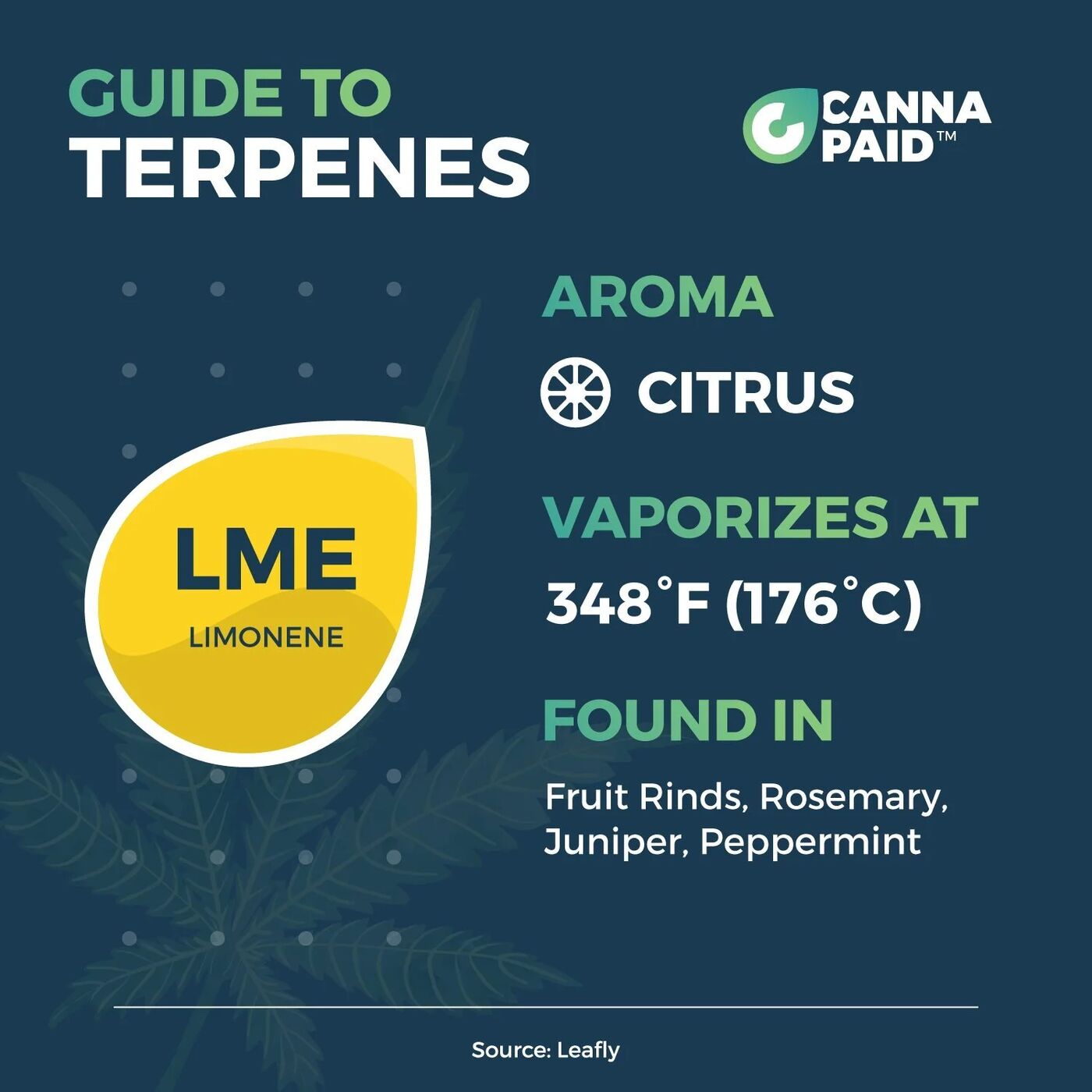 CannaPaid Guide to Terpenes: Limonene, citrus, vaporizes at 348°F, found in fruit rinds, rosemary, juniper and peppermint