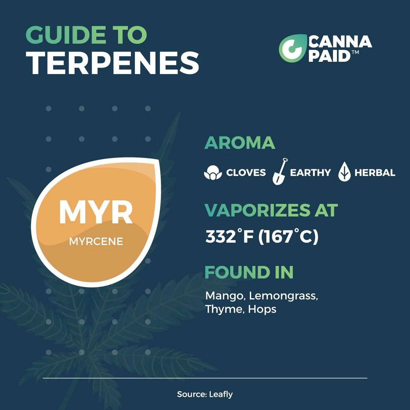 CannaPaid Guide to Terpenes: Myrcene, cloves, earthy and herbal, vaporizes at 332°F, found in mango, lemongrass, thyme and hops