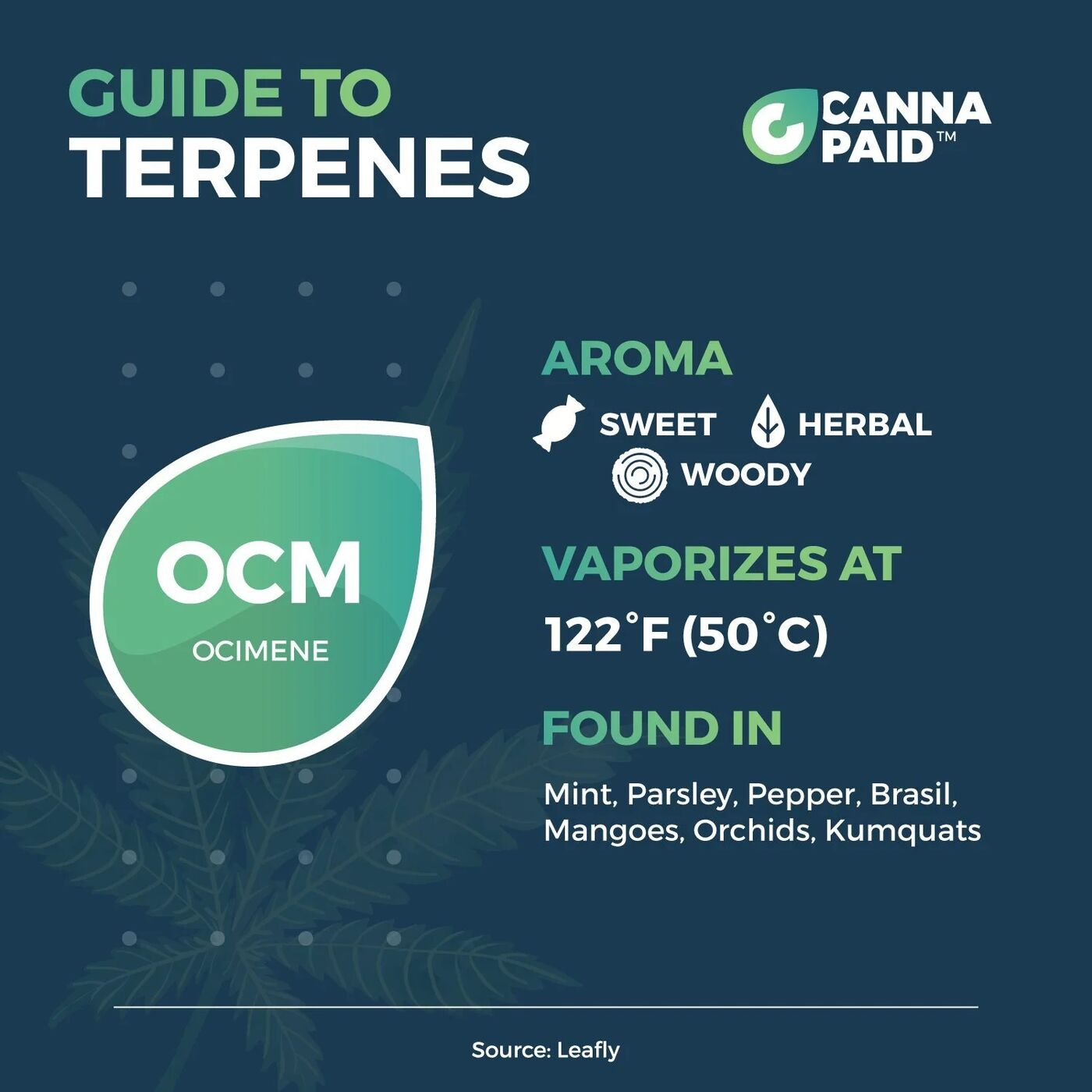 CannaPaid Guide to Terpenes: Ocimene, sweet, herbal and woody, vaporizes at 122°F, found in mint, parsley, pepper and mangoes