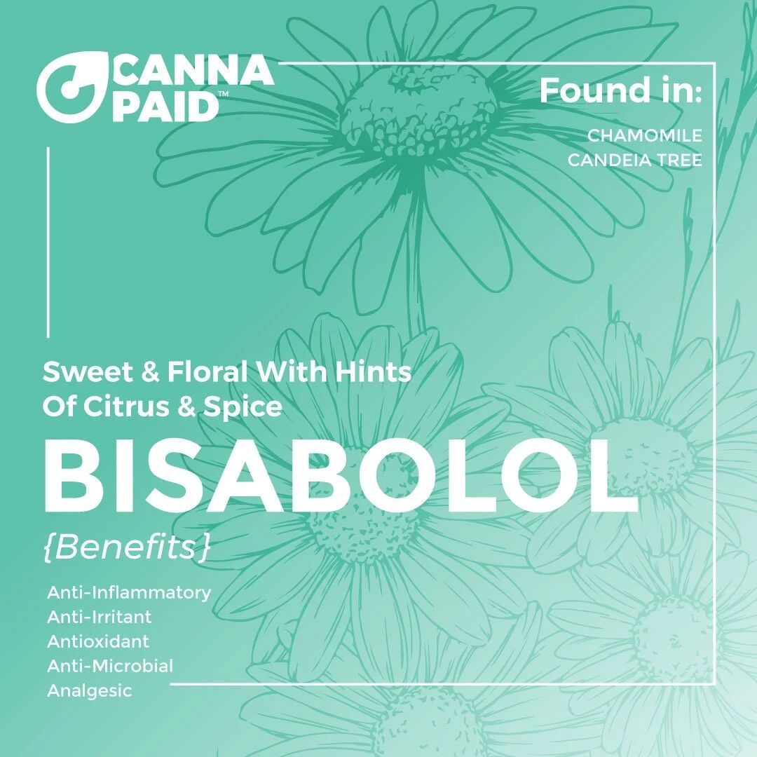 CannaPaid terpene card: Bisabolol, sweet and floral with hints of citrus and spice, found in chamomile