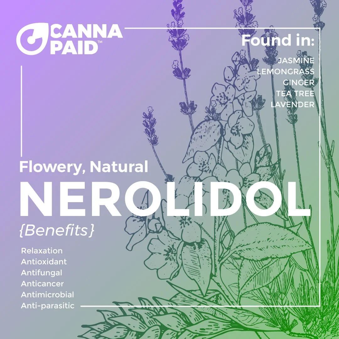 CannaPaid terpene card: Nerolidol, flowery and natural