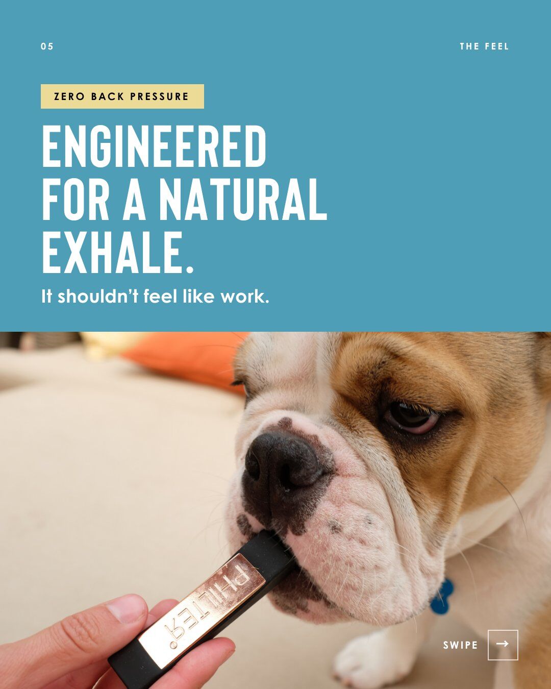 Philter how it works: Engineered for a natural exhale. It shouldn't feel like work. A bulldog sniffing a Philter