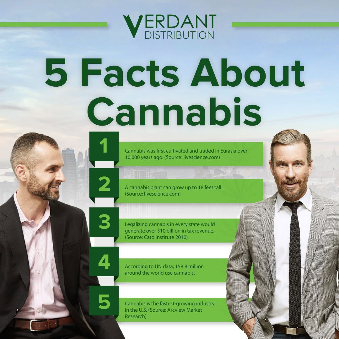 5 Facts About Cannabis infographic with the founders