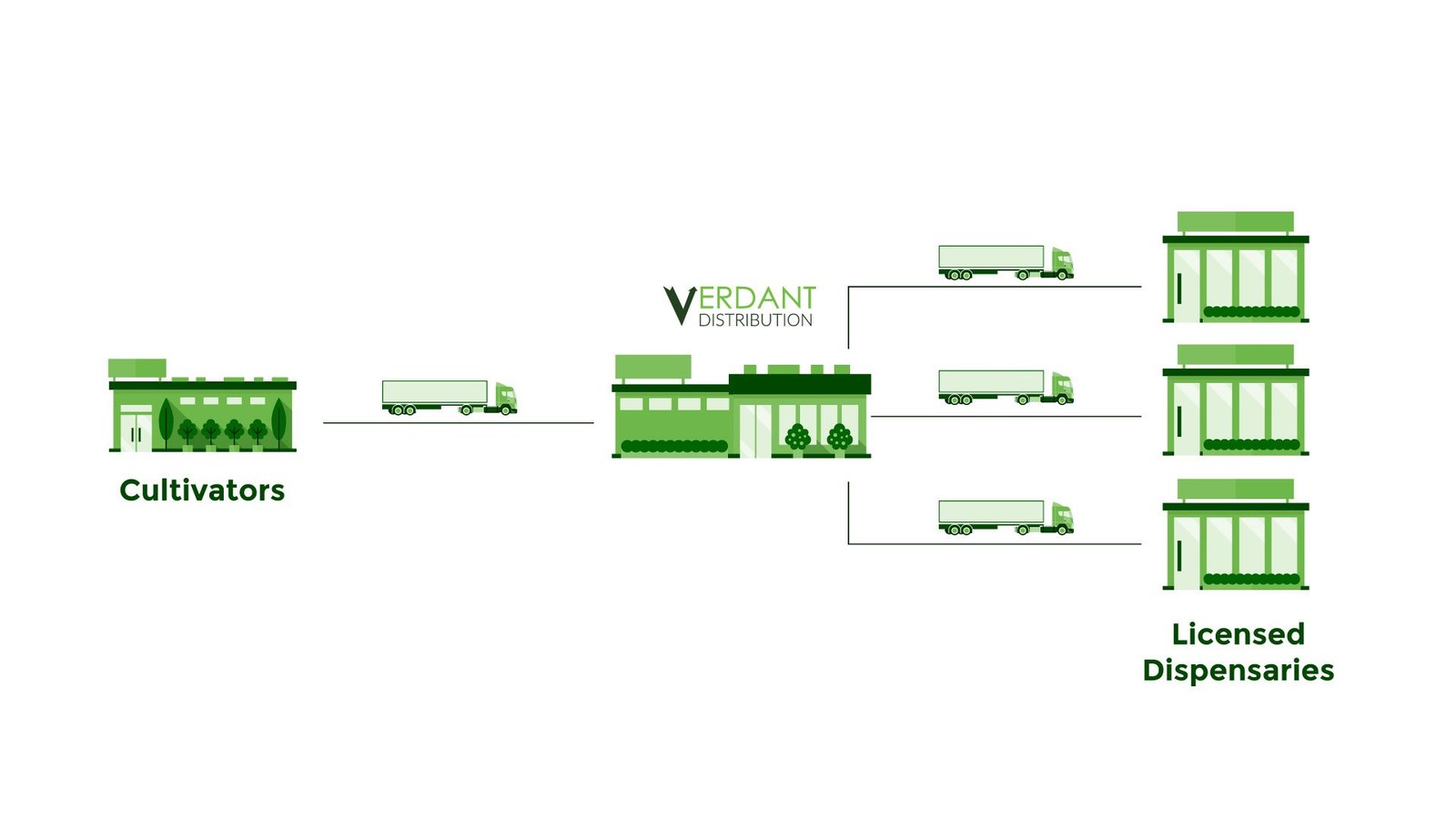 Verdant Distribution supply chain graphic: cultivators to Verdant to licensed dispensaries